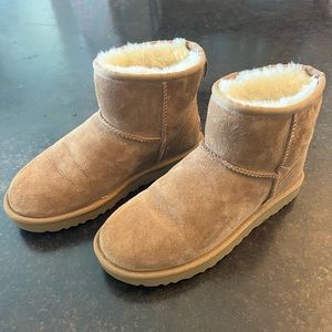 Ugg Mini in Chestnut